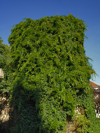 Helenenturm