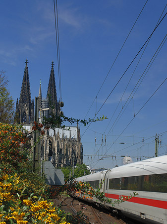 Foto Kölner Dom mit ICE