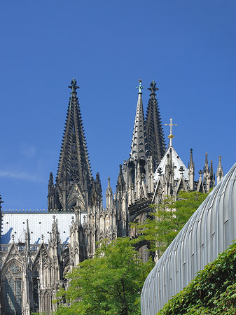 Foto Hauptbahnhof vor dem Kölner Dom - Köln