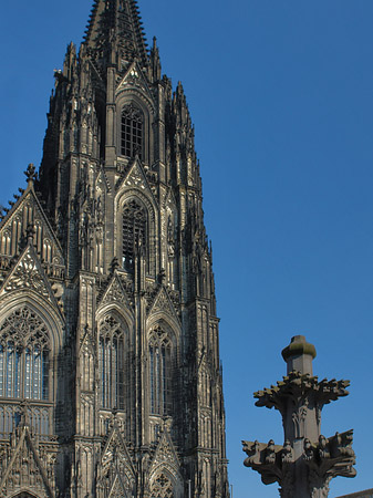 Kreuzblume vor Kölner Dom Fotos