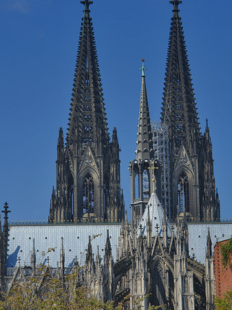 Fotos Steinmauer zum Kölner Dom