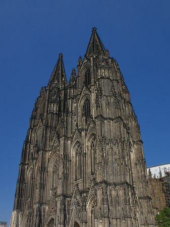 Foto Touristen tummeln sich vor Kölner Dom - Köln