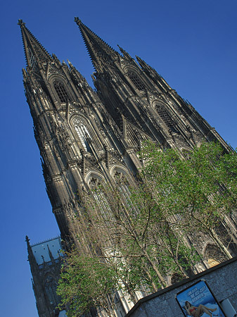 Nordtor des Kölner Doms Foto 