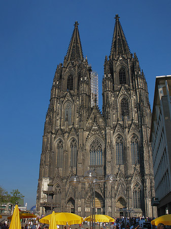 gelbe Sonnenschirme vor Kölner Dom Fotos