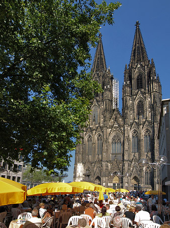 Foto gelbe Sonnenschirme vor Kölner Dom - Köln