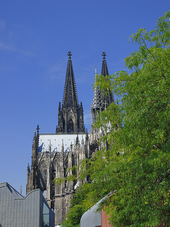 Türme des Kölner Doms Foto 