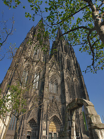 Westfassade des Kölner Doms Fotos