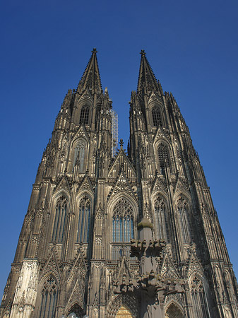 Westfassade des Kölner Doms Foto 