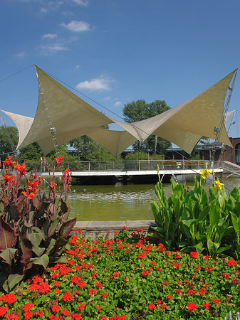 Fotos Tanzbrunnen im Rheinpark