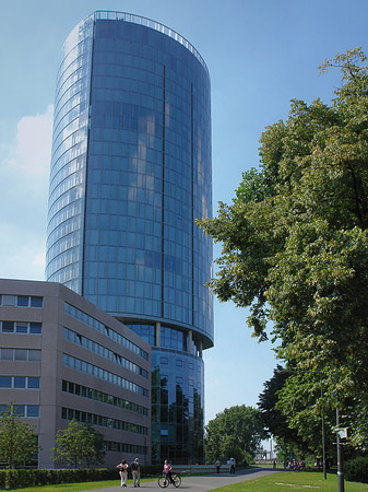 Fotos Triangelturm hinter Baum | Köln