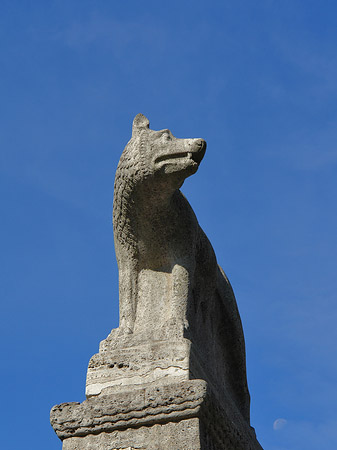 Wolfsstatue am Stadtmuseum