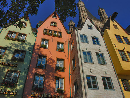 Fotos Fischmarkt in der Altstadt | Köln