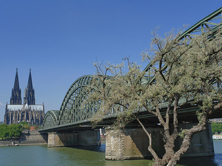 Fotos Hohenzollernbrücke am Kölner Dom | Köln