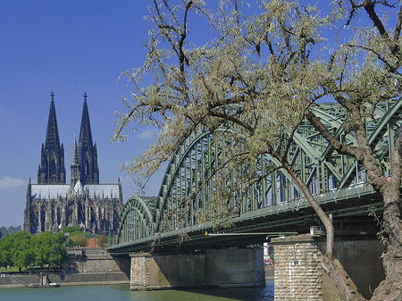 Fotos Hohenzollernbrücke am Kölner Dom | Köln