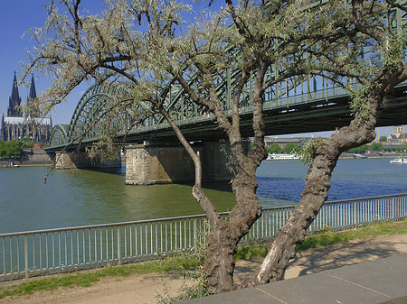 Fotos Hohenzollernbrücke am Kölner Dom | Köln