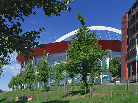 Foto Kölnarena auf einer Wiese - Köln