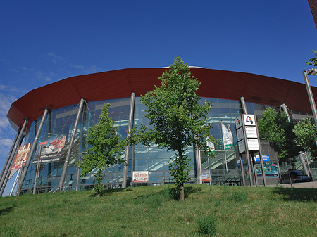 Foto Kölnarena auf einer Wiese