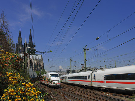 Kölner Dom mit ICE Fotos