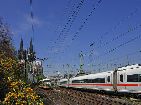 Kölner Dom mit ICE Foto 