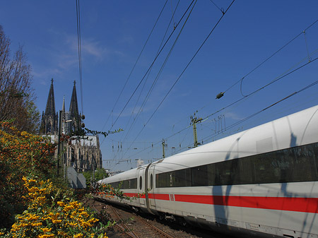 Foto Kölner Dom mit ICE