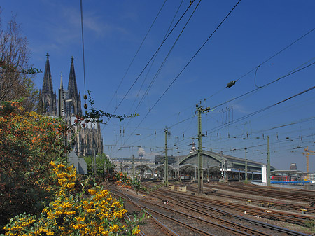 Hauptbahnhof neben dem Kölner Dom Fotos