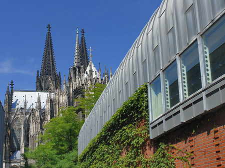 Hauptbahnhof vor dem Kölner Dom Fotos