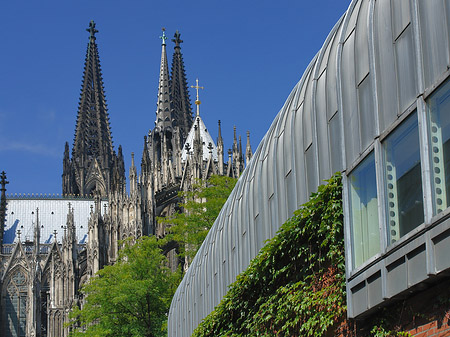 Fotos Hauptbahnhof vor dem Kölner Dom