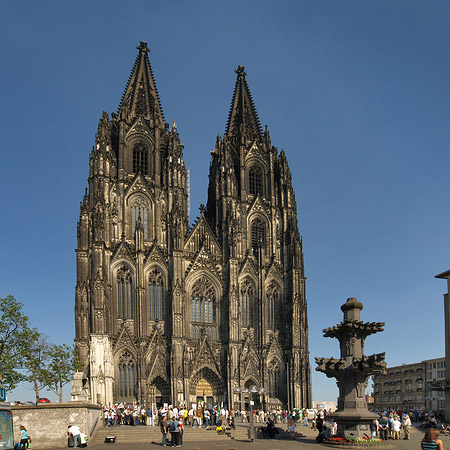 Kreuzblume vor Kölner Dom Foto 