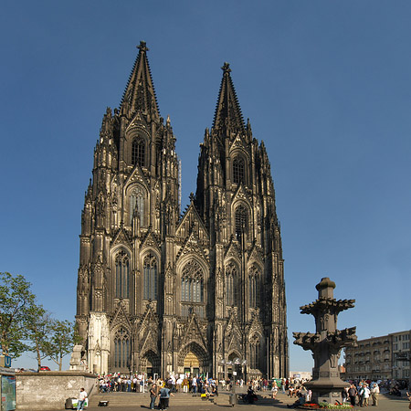 Foto Kreuzblume vor Kölner Dom