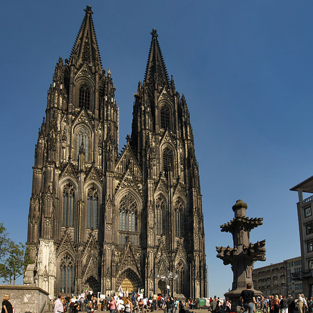 Foto Kreuzblume vor Kölner Dom