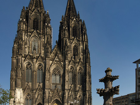 Fotos Kreuzblume vor Kölner Dom