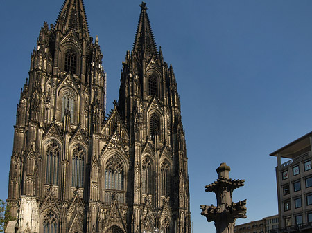 Fotos Kreuzblume vor Kölner Dom