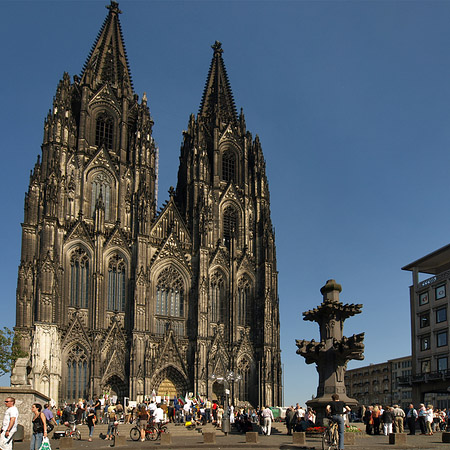 Kreuzblume vor Kölner Dom Foto 