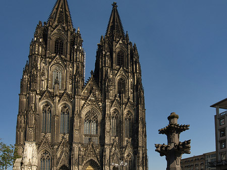 Kreuzblume vor Kölner Dom Foto 