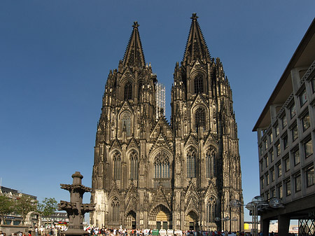 Fotos Kreuzblume vor Kölner Dom | Köln