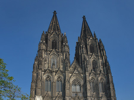 Foto Kreuzblume vor Kölner Dom - Köln