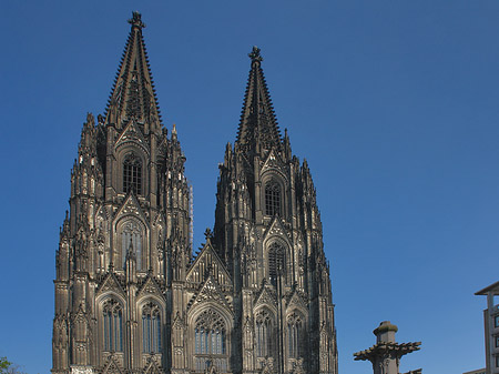 Foto Kreuzblume vor Kölner Dom