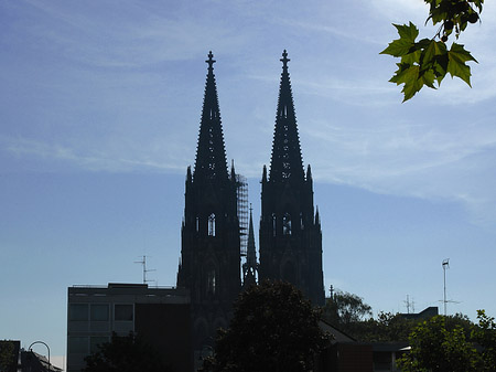 Foto Kölner Dom - Köln