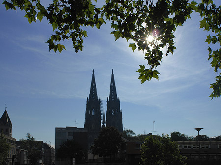 Foto Kölner Dom