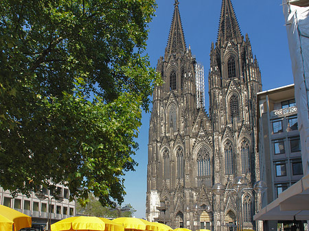 gelbe Sonnenschirme vor Kölner Dom Foto 