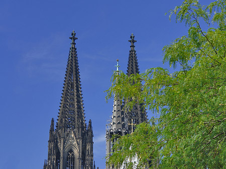 Foto Türme des Kölner Doms - Köln