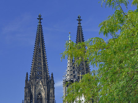 Fotos Türme des Kölner Doms