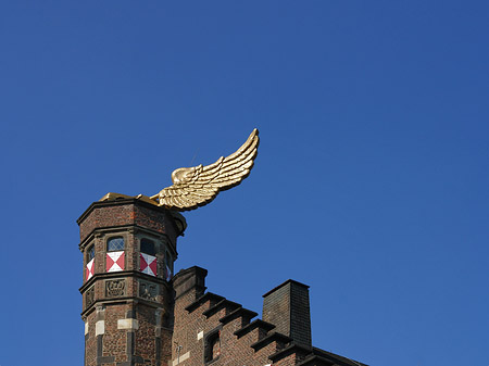 Foto Flügelauto des Kölnischen Stadtmuseums - Köln