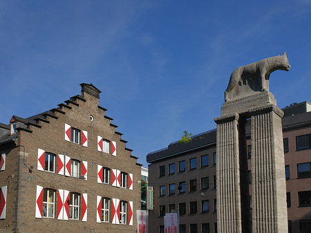 Fotos Wolfsstatue und Stadtmuseum | Köln