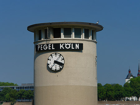 Pegel Köln Foto 