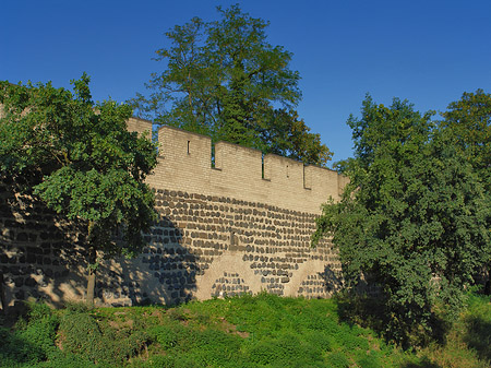 Stadtmauer am Sachsenring