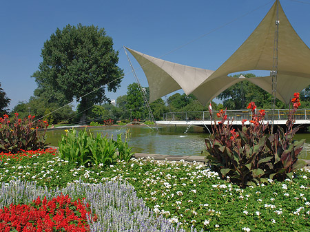 Tanzbrunnen im Rheinpark