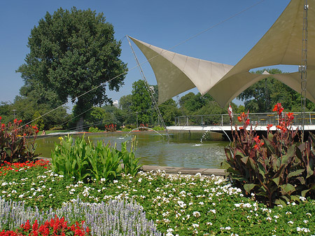 Fotos Tanzbrunnen im Rheinpark