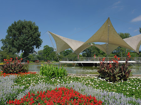 Fotos Tanzbrunnen im Rheinpark