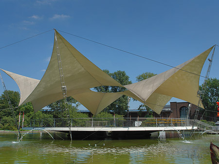 Fotos Tanzbrunnen im Rheinpark